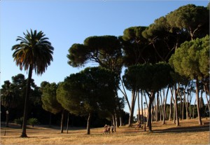 rome-with-kids-villa-doria-pamphili-park