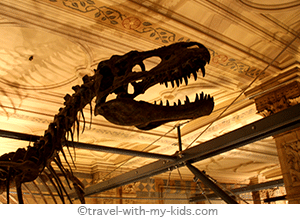 london-with-kids-family-travel-natural-history-museum