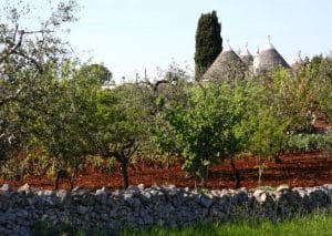 puglia-with-kids-italy-landscape