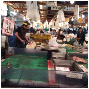 things-to-do-in-tokyo-with-kids-tsukiji-fish-market